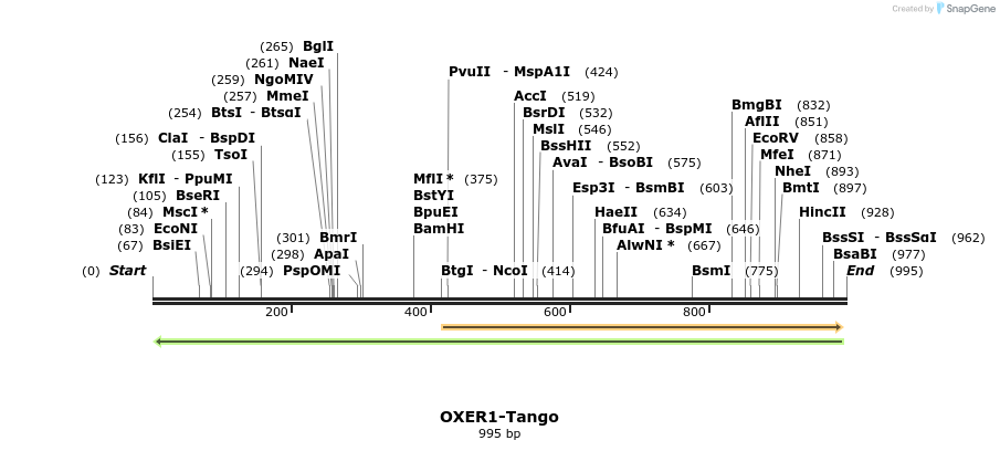 120119_map