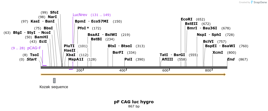 120120_map