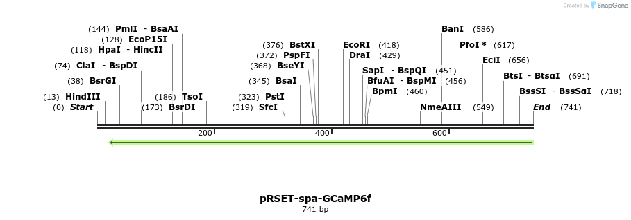 120124_map