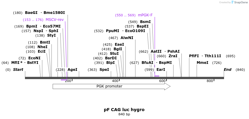 120126_map