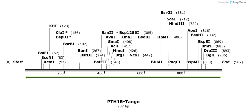 120128_map
