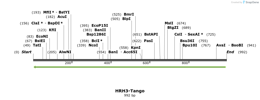120137_map