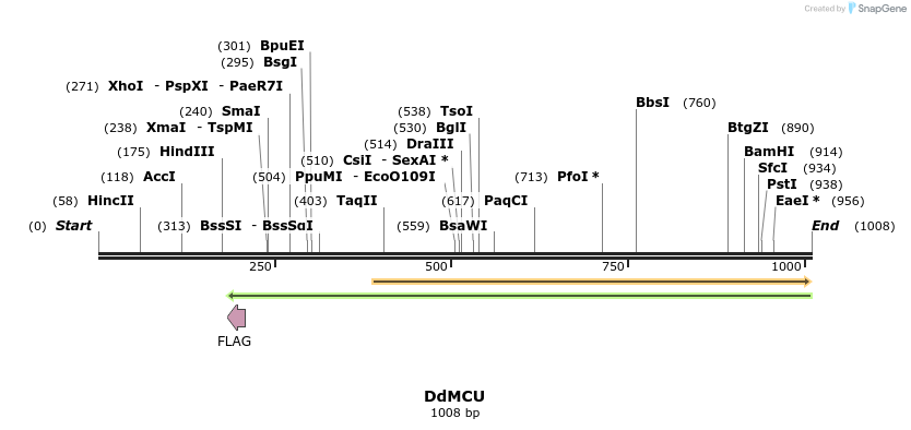 120144_map