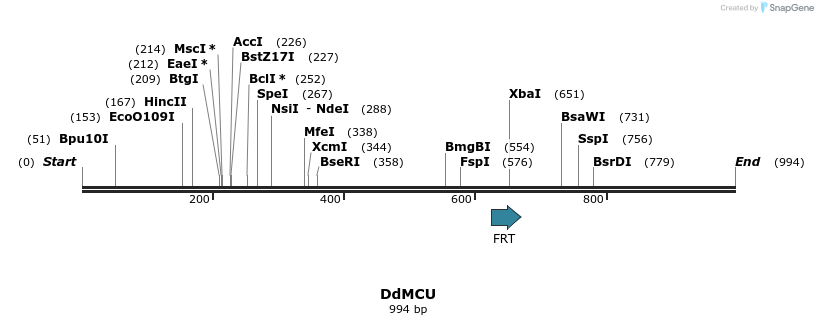 120151_map