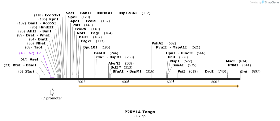 120158_map