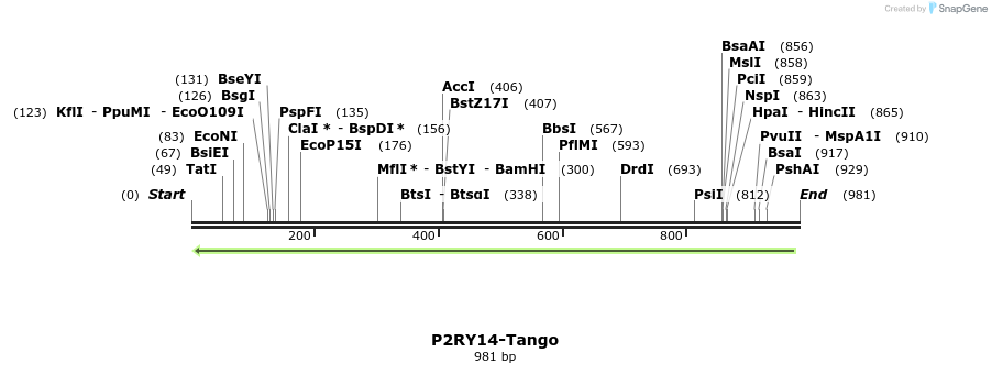 120159_map