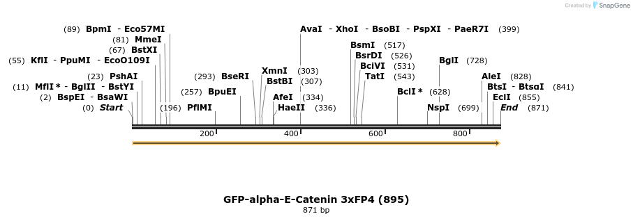 120160_map