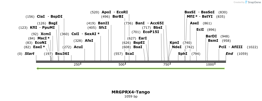 120164_map