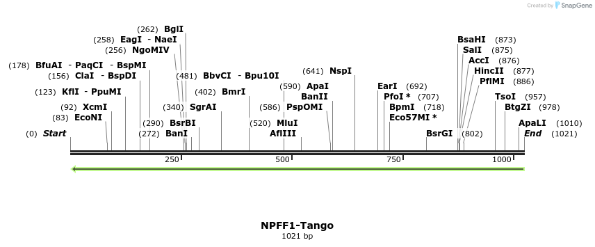 120167_map