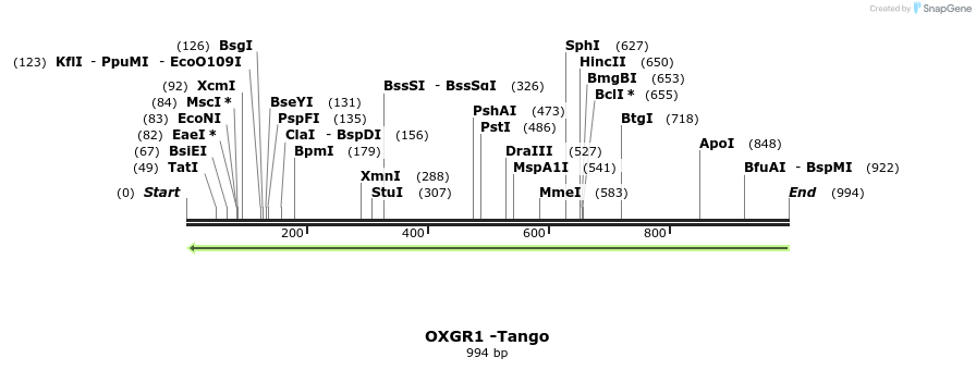 120173_map