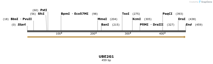 12018_map