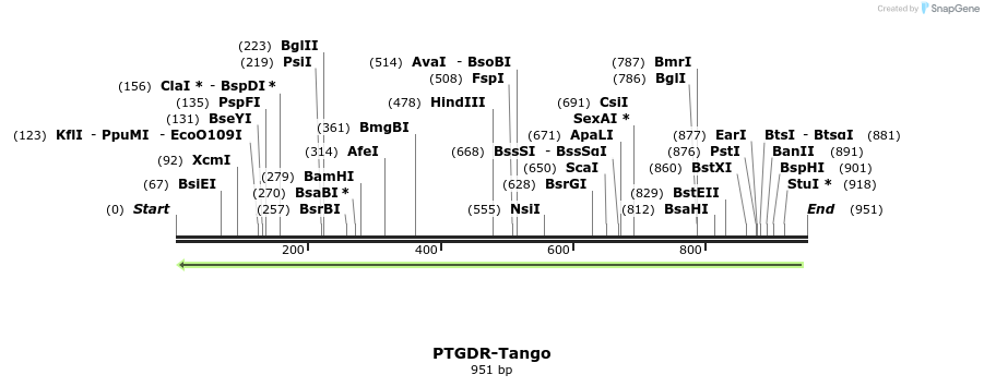 120181_map