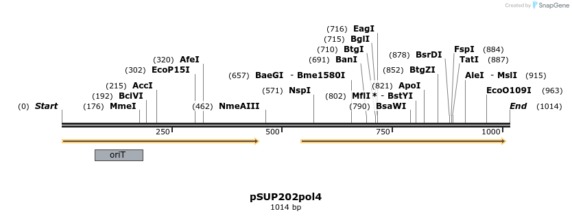 120191_map