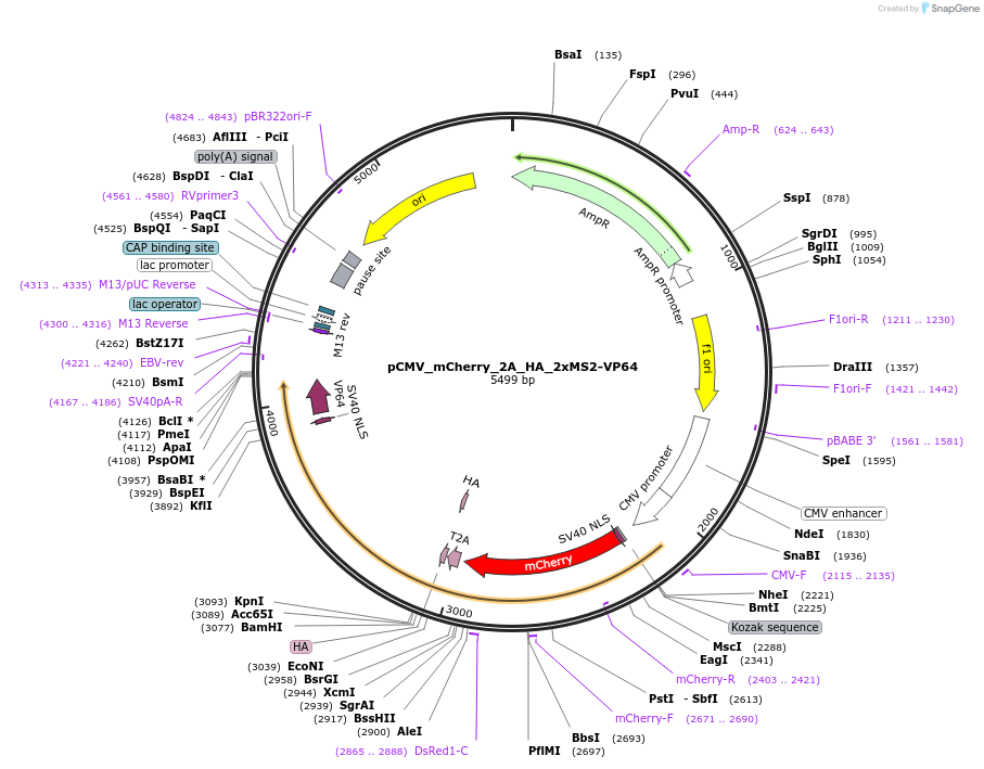 120197_map