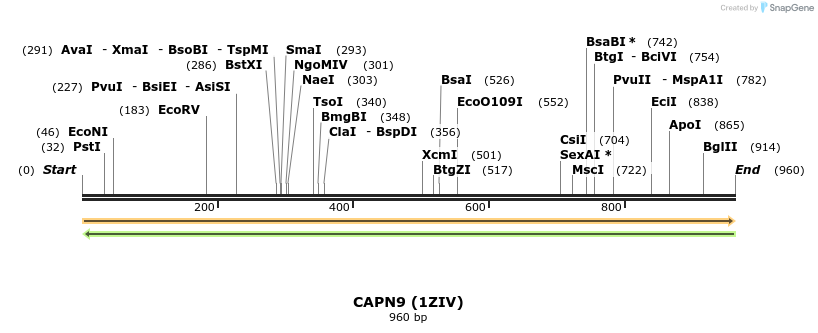 12021_map