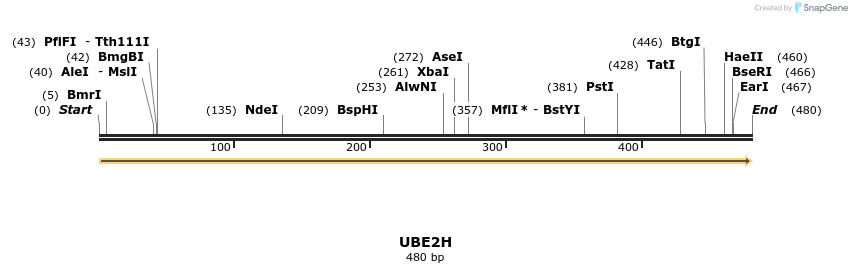 12022_map