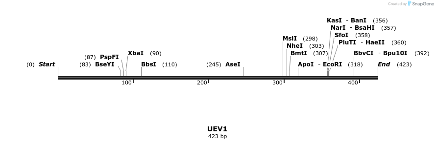 12023_map