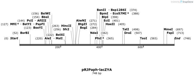 120236_map