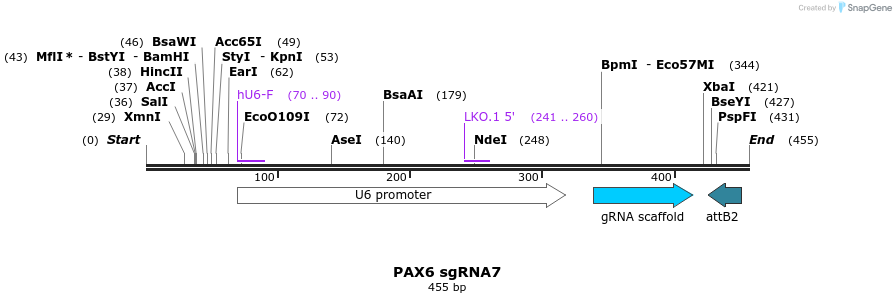 120251_map