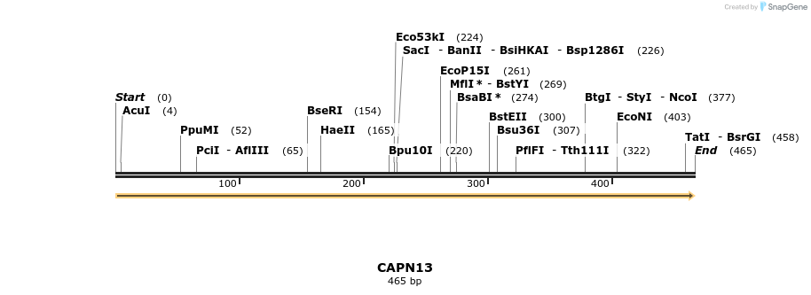 12026_map