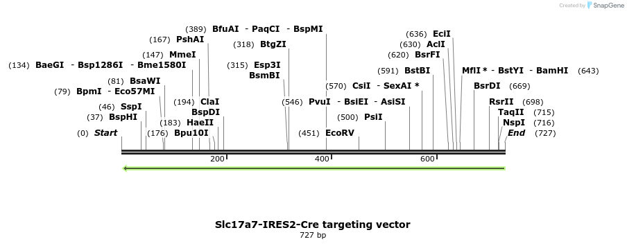 120264_map