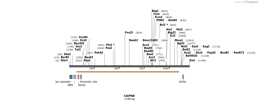 12027_map