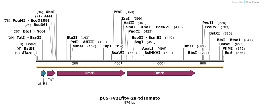 120272_map
