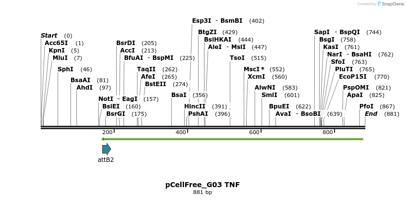 120277_map