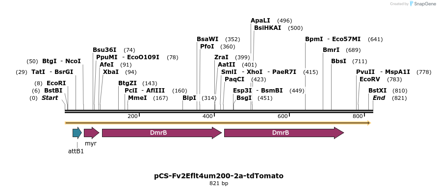 120278_map