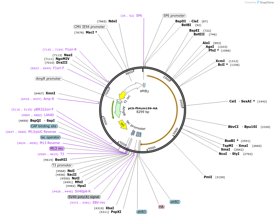 120281_map