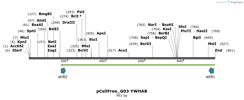 120282_map