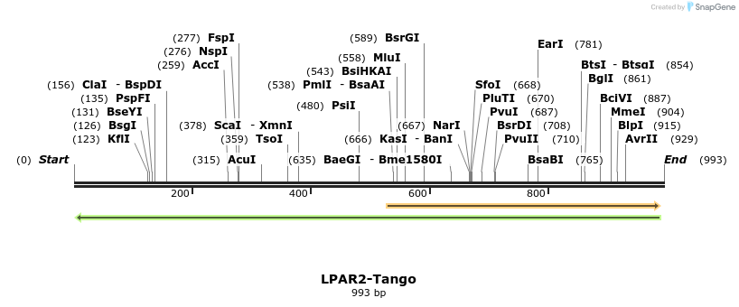120288_map