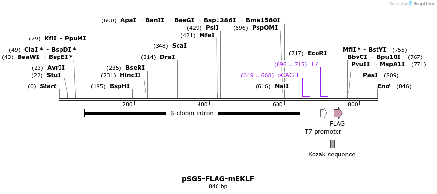 120291_map