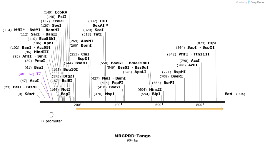 120295_map