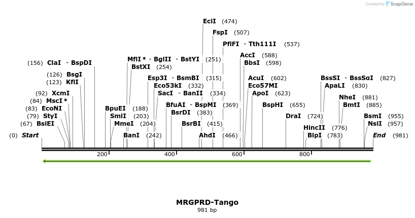 120296_map