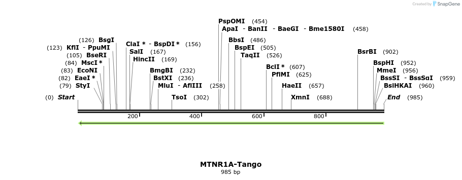 120298_map