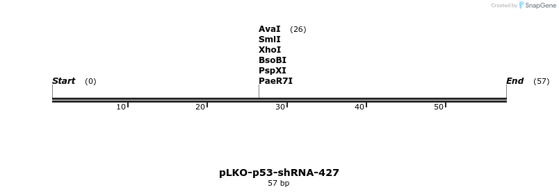 12031_map