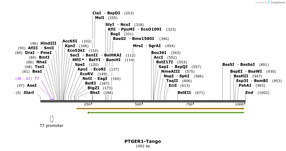120310_map
