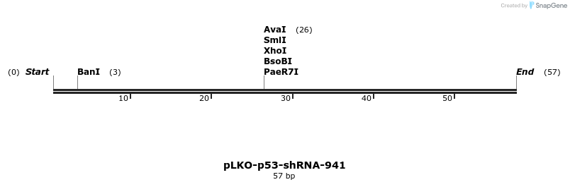 12032_map