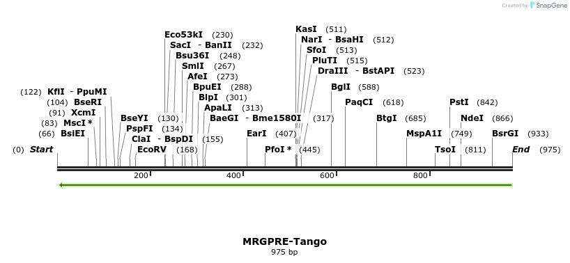 120323_map