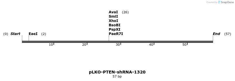 12033_map