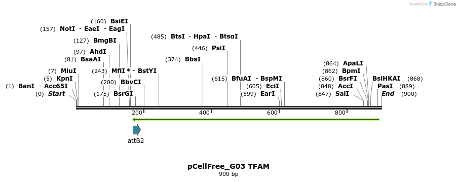 120335_map