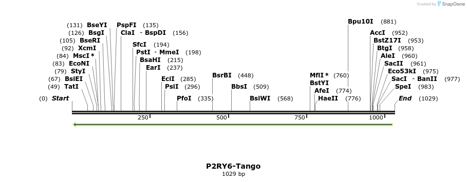 120339_map
