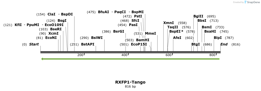 120346_map