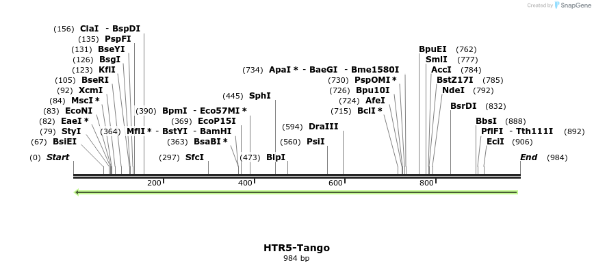 120351_map