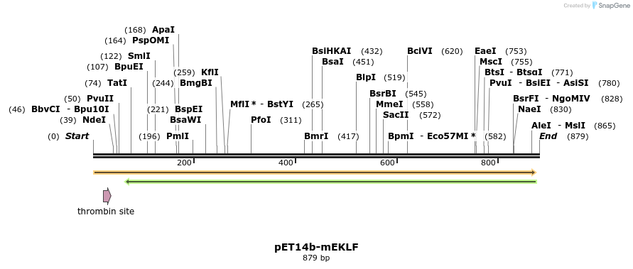 120352_map