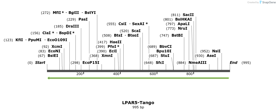 120353_map