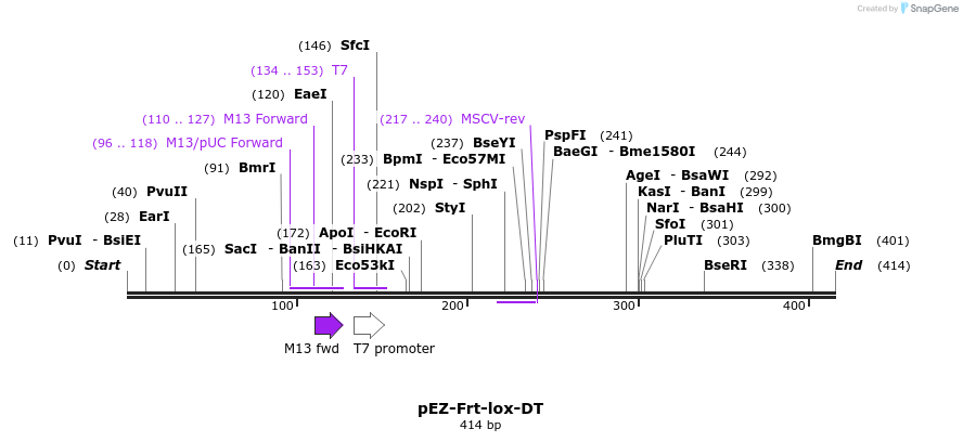 120357_map
