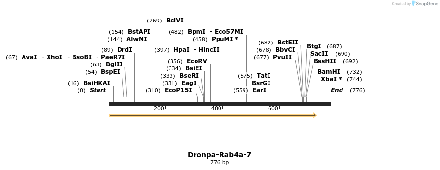 120359_map