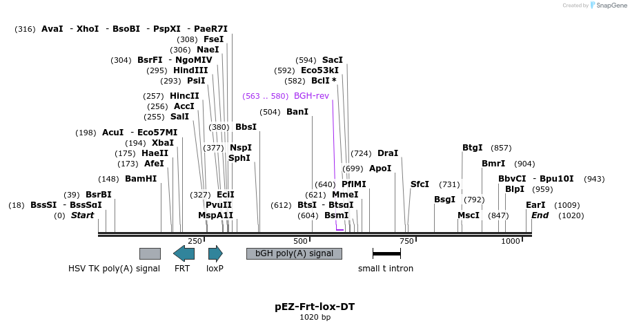 120360_map